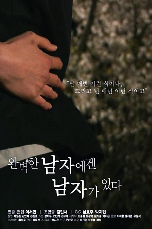 Идеал - постер