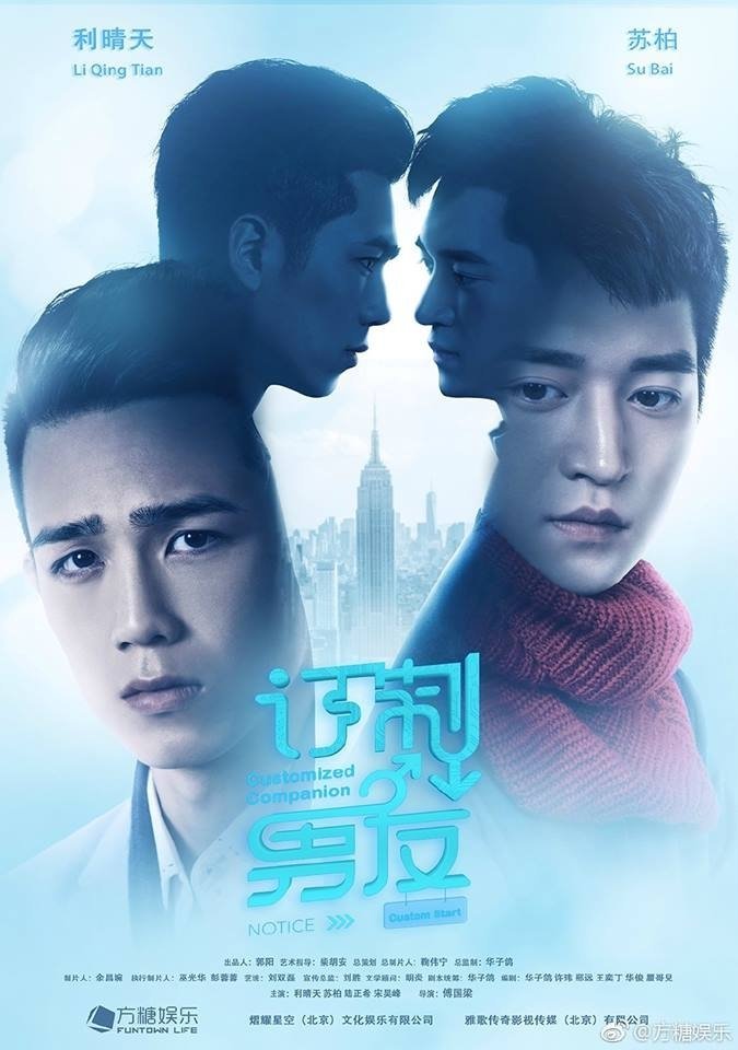 Индивидуальный компаньон - постер